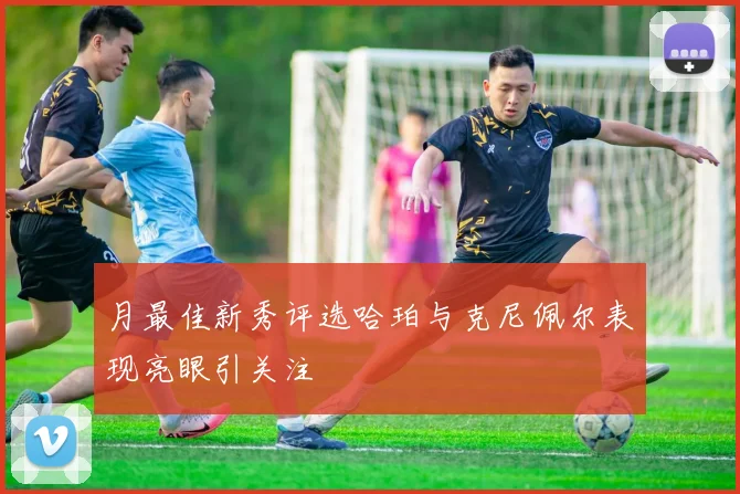 月最佳新秀评选哈珀与克尼佩尔表现亮眼引关注