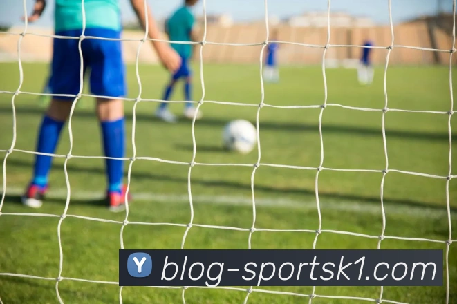 k1体育APP 封面图